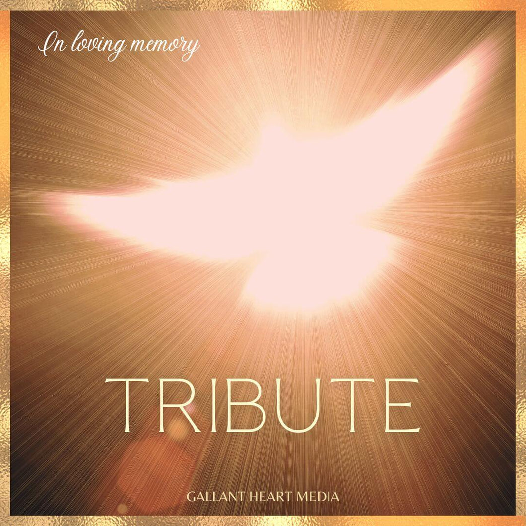 Tribute  - Preserve Your Loved One's Voice or Audio Recording (Customized)